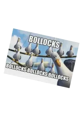 Birds say bollocks