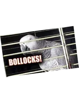 A parrot saying bollocks