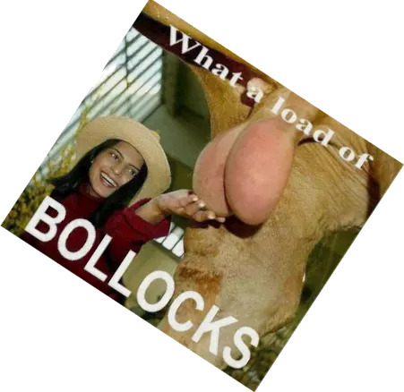 What a load of bollocks